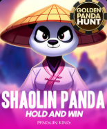 Play Shaolin Panda Slot - Martial Arts Theme